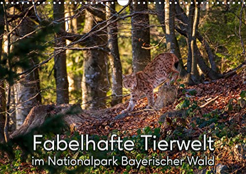 Fabelhafte Tierwelt im Nationalpark Bayerischer Wald (Wandkalender 2021 DIN A3 quer) Fabelhafte Tierwelt im Nationalpark Bayerischer Wald (Wandkalender 2021 DIN A3 quer)