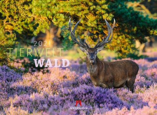 Tierwelt Wald Kalender 2021, Wandkalender im Querformat (45x33 cm) - Tierkalender mit heimischen Wildtieren Tierwelt Wald Kalender 2021, Wandkalender im Querformat (45x33 cm) - Tierkalender mit heimischen Wildtieren
