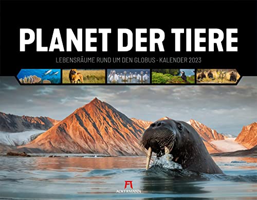 Planet der Tiere, Lebensräume rund um den Globus, Kalender 2023, Wandkalender im Querformat (54x42 cm) - Tierkalender, Wildtiere, Wildlife