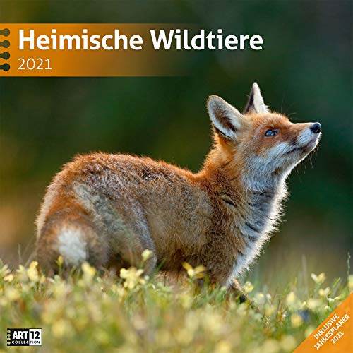 Heimische Wildtiere 2021, Wandkalender / Broschürenkalender im Hochformat (aufgeklappt 30x60 cm) - Kalender mit Monatskalendarium zum Eintragen Heimische Wildtiere 2021, Wandkalender / Broschürenkalender im Hochformat (aufgeklappt 30x60 cm) - Kalender mit Monatskalendarium zum Eintragen