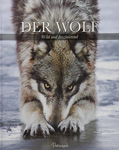 Der Wolf: Wild und faszinierend