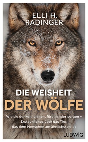 Die Weisheit der Wölfe: Wie sie denken, planen, füreinander sorgen. Erstaunliches über das Tier, das dem Menschen am ähnlichsten ist Die Weisheit der Wölfe: Wie sie denken, planen, füreinander sorgen. Erstaunliches über das Tier, das dem Menschen am ähnlichsten ist