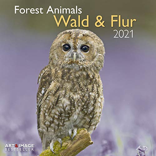 Wald & Flur 2021 - Wand-Kalender - Broschüren-Kalender - A&I - 30x30 - 30x60 geöffnet: Forest Animals Wald & Flur 2021 - Wand-Kalender - Broschüren-Kalender - A&I - 30x30 - 30x60 geöffnet: Forest Animals